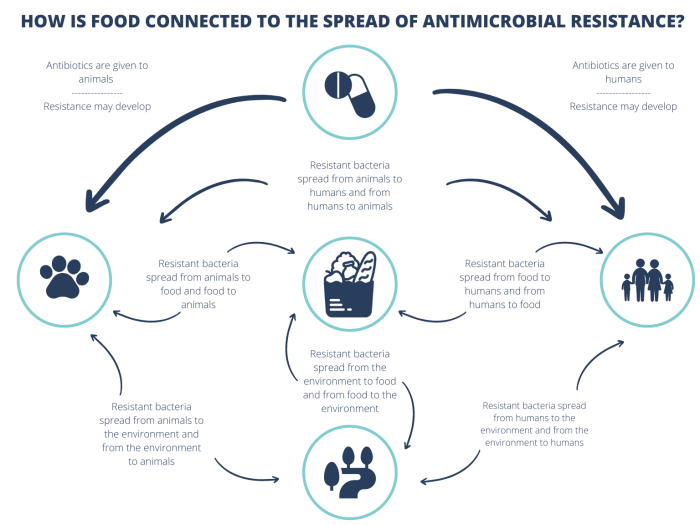 Antimicrobial resistance